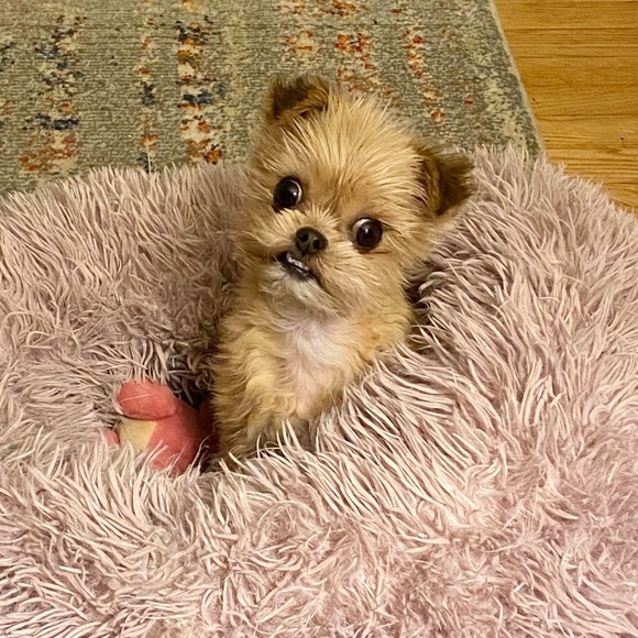 Meet your posher, Resa! - Picture 3 of 11